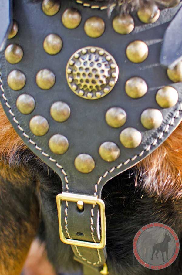 Studded Padded Chest Plate with Embellishment - Big Dogs Gear