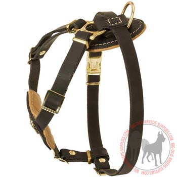 Leather Puppy Harness Nappa Padded on Chest and Back Plates