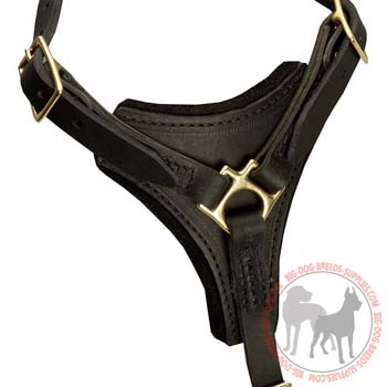 Small breast plate on leather dog harness