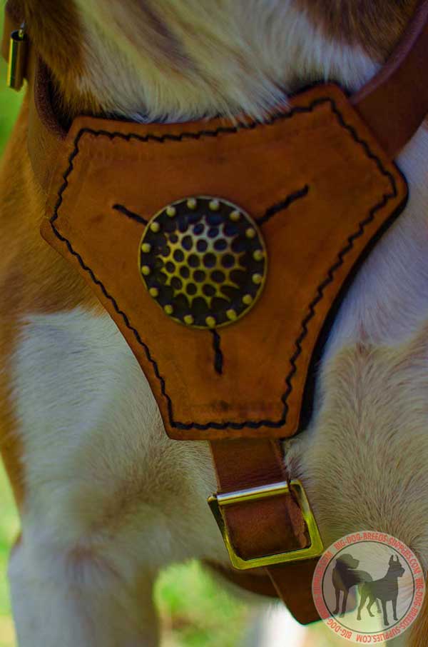 Tan Leather Chest Plate with Brooch