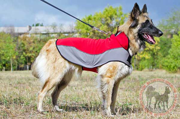 Tervuren     warm winter dog coat