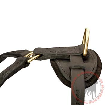 Brass D-Ring on leather dog harness for lead