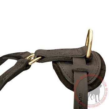 Durable brass D-Ring on leather dog harness for lead