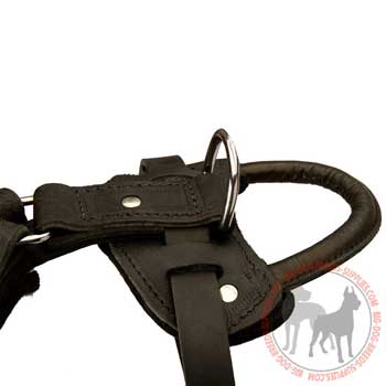 Control handle on leather dog harness