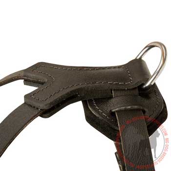 Welded D-Ring duly sewn in leather dog harness