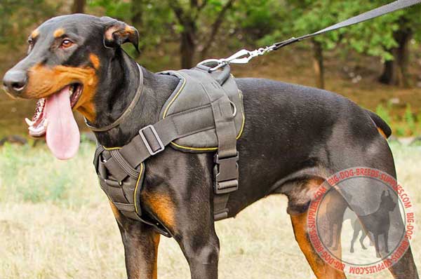 Doberman Harness Made of Nylon for Pulling and Tracking 