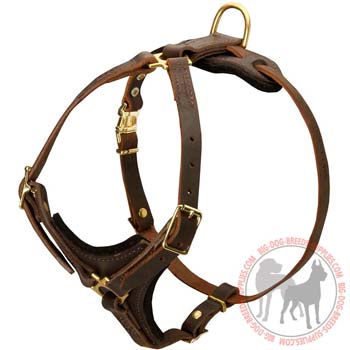 Dog leather harness brown with well-thought design