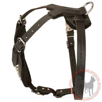 Dog leather harness designer with easy adjustable straps
