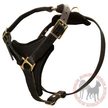 Leather dog harness black colored for successful tracking