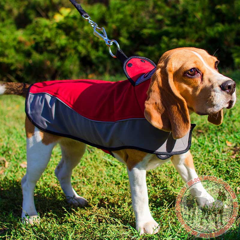 NylonHarness with Stand Up Collar for Winter Walking and Training Small Breed Dogs and Puppies