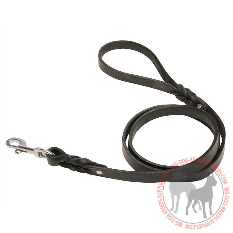 "Full Control" Leather Dog Leash with Braiding