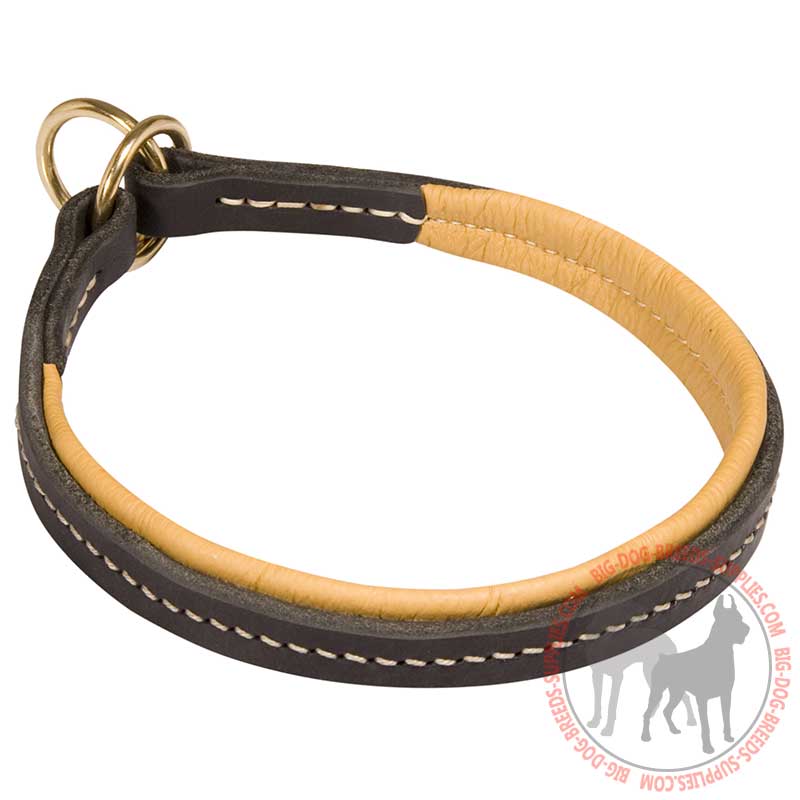 Leather Choke Dog Collar for Training and Walking Activities