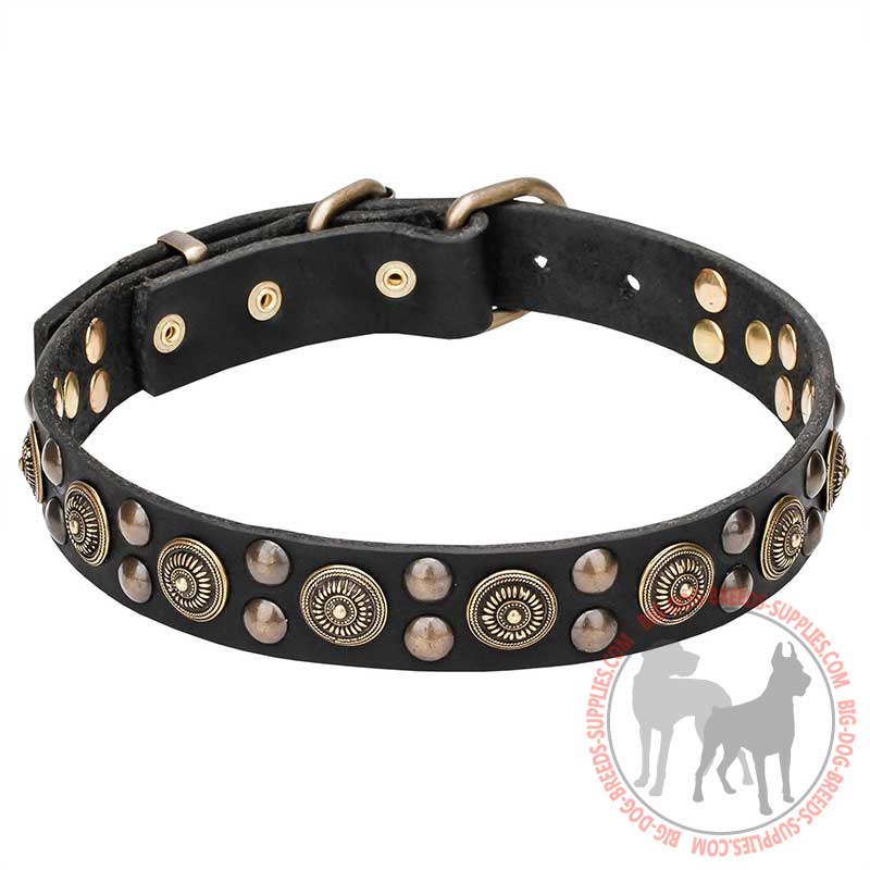 "Shiny Charm" Leather Dog Collar with Conchos and Studs Decoration - 1 1/5 inch (30 mm)
