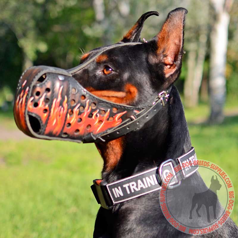 Handcrafted Leather dog collars for Doberman handmade : Doberman Breed: Dog  harness, Muzzle, Collar, Leash