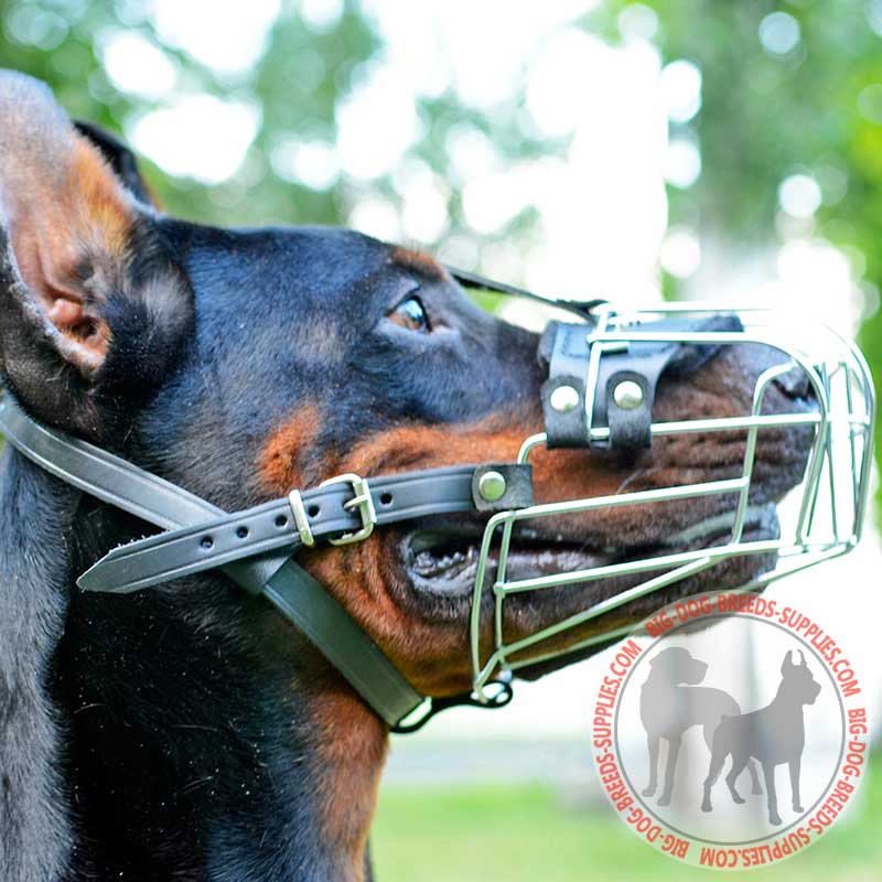 Felt Padded Wire Cage Doberman Muzzle for Walking