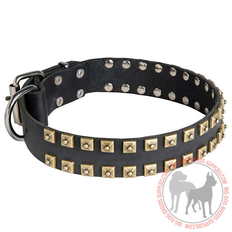 Walking and Training Studded Leather Dog Collar "Caterpillar"