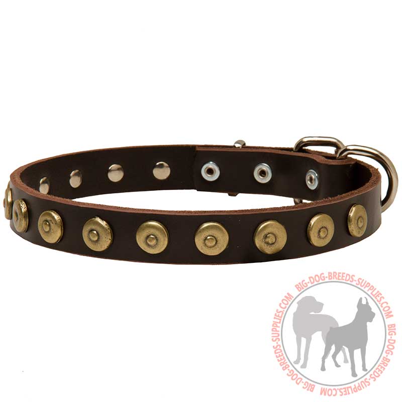 Walking and Training Leather Dog Collar With Doted Circles
