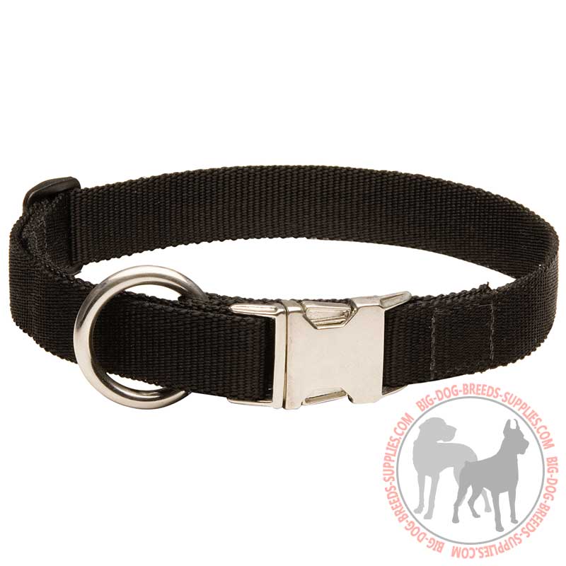 All Weather Nylon Dog Collar for Training and Walking