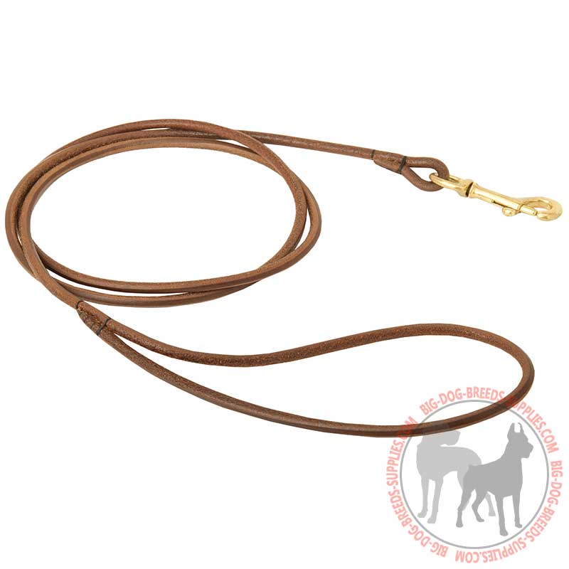 Durable Round Leather Dog Leash