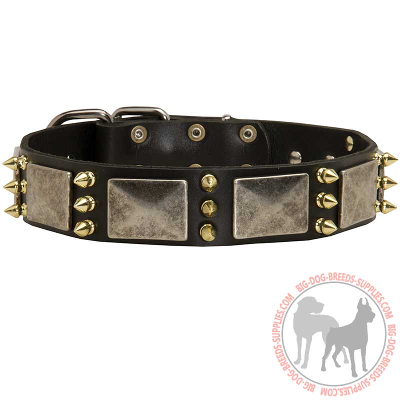 Designed Leather Dog Collar For Stylish Pet Owners and Their Canines