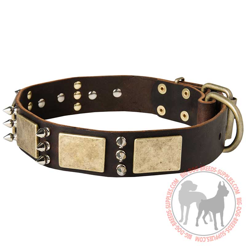 Wide Leather Decorated Dog Collar with Vintage Plates and Spikes for Big Breeds