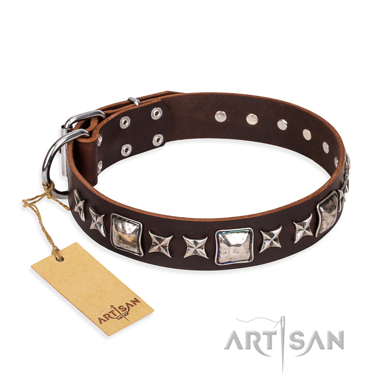 "Perfect Impression" FDT Artisan Brown Leather Dog Collar with Square Studs - 1 1/2 inch (40 mm) Wide