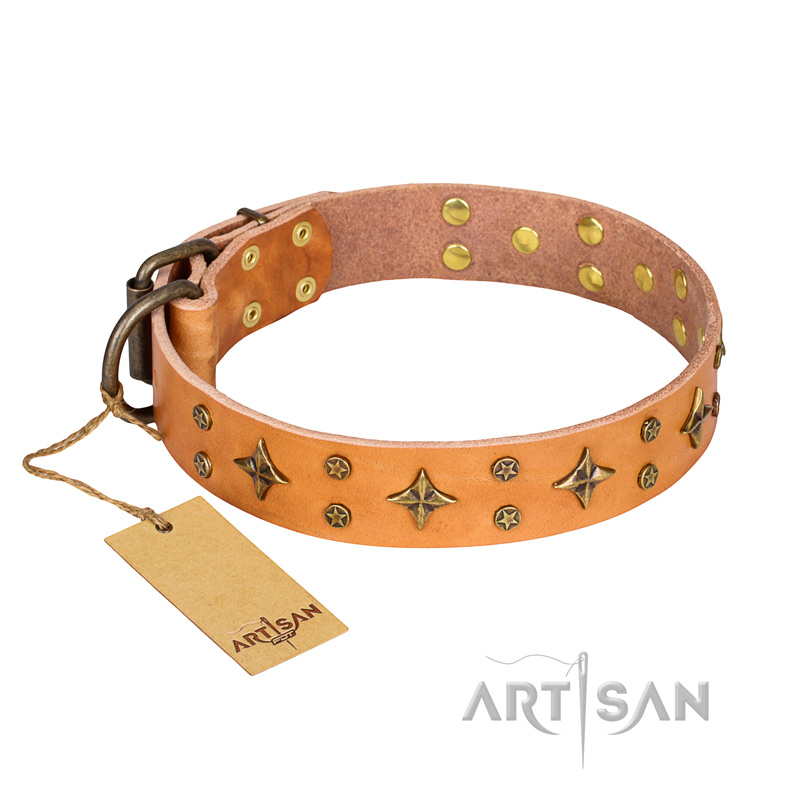 'Top-Flight' FDT Artisan Adorned Tan Leather Dog Collar