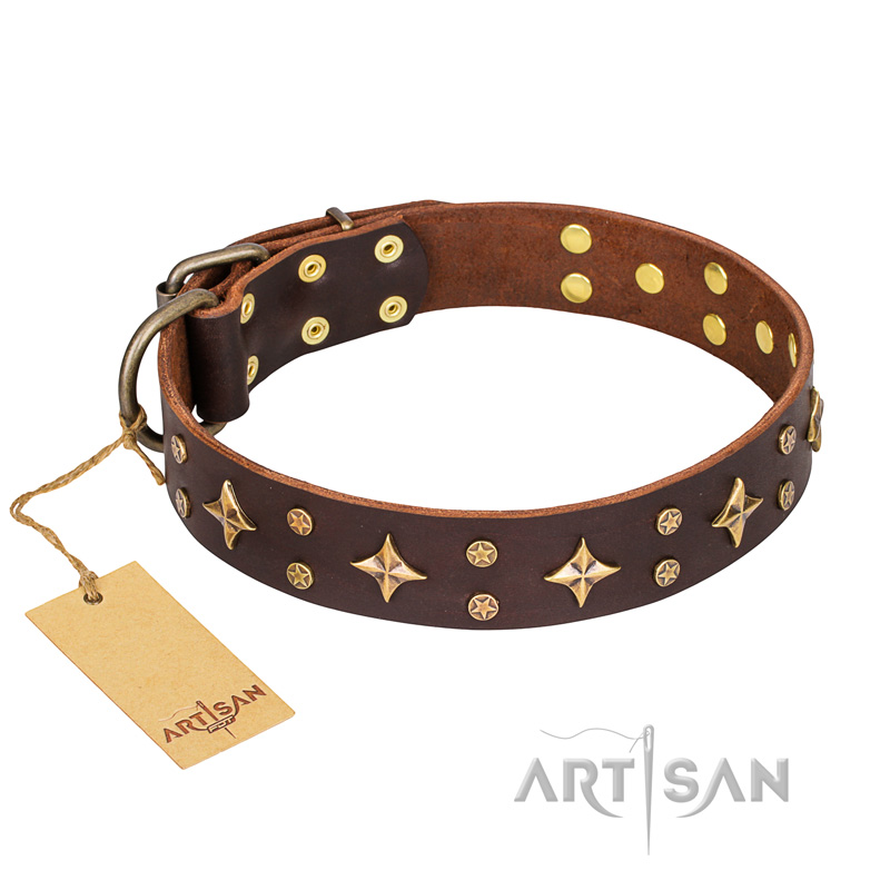 'High Fashion' FDT Artisan Embellished Brown Leather Dog Collar