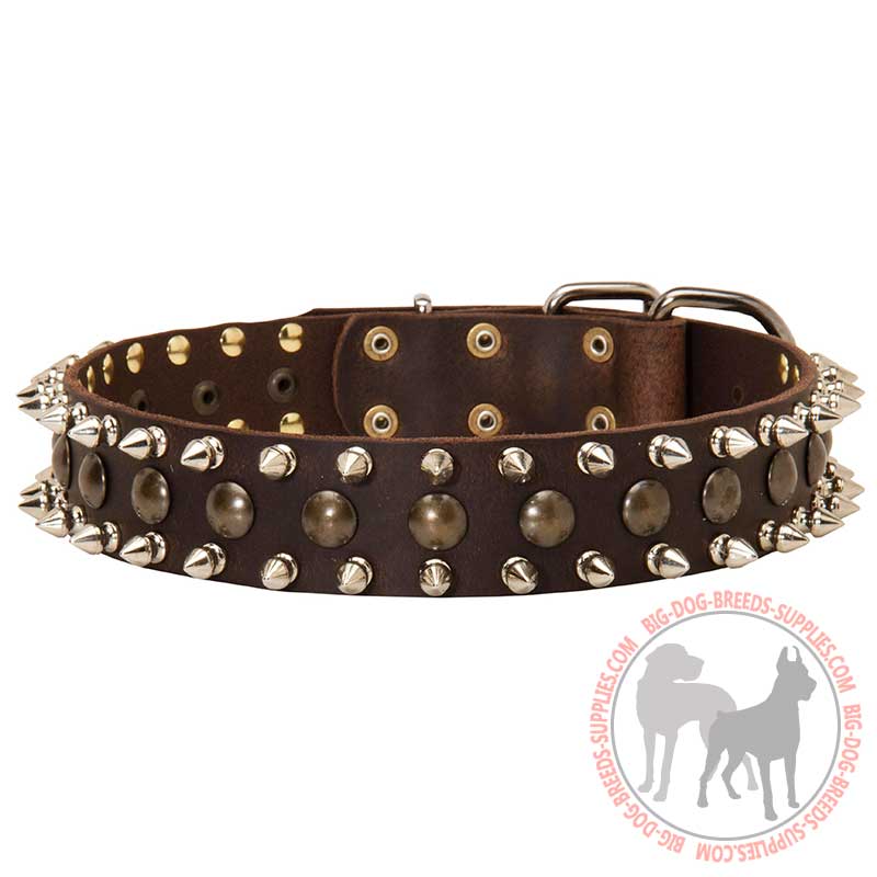 Exquisite Spiked and Studded Leather Dog Collar