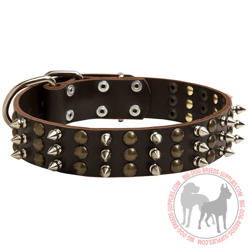 Fashionable Leather Dog Collar with Spikes and Studs