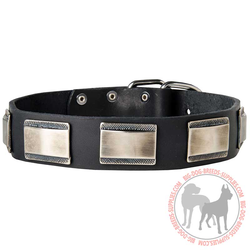 Big Dogs Collar Of Leather Decorated With Nickel Plates