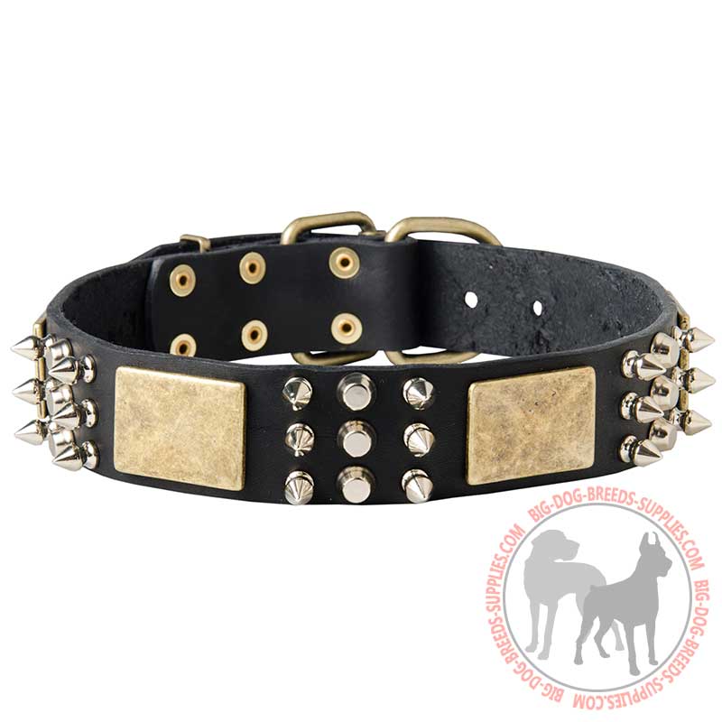 Exclusively Decorated Dog Collar Of Natural Leather - Click Image to Close