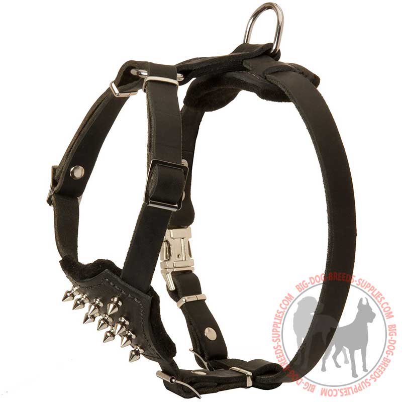 Decorated Leather Dog Harness For Your Puppy - Click Image to Close