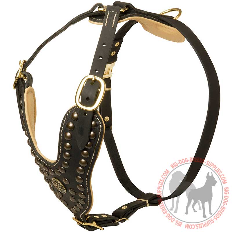 Gorgeous Y-shaped Leather Dog Harness with Brass Studs