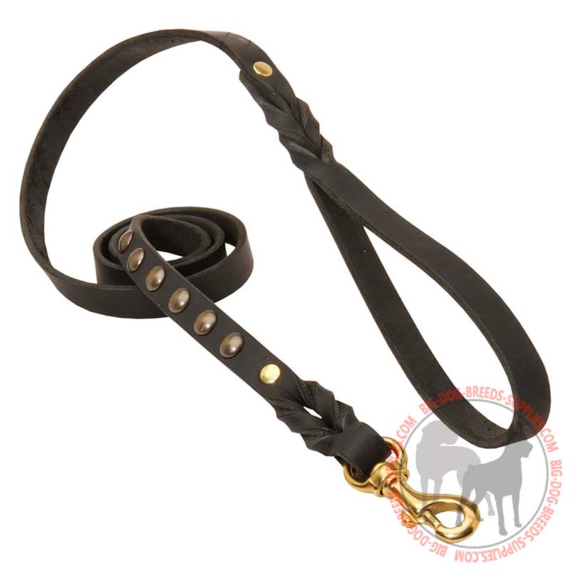 Staggering Leather Dog Leash with Brass Studs