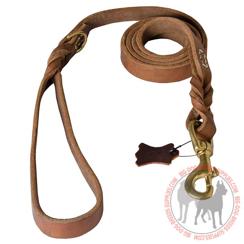 Reliable Leather Dog Leash for Training and Walking