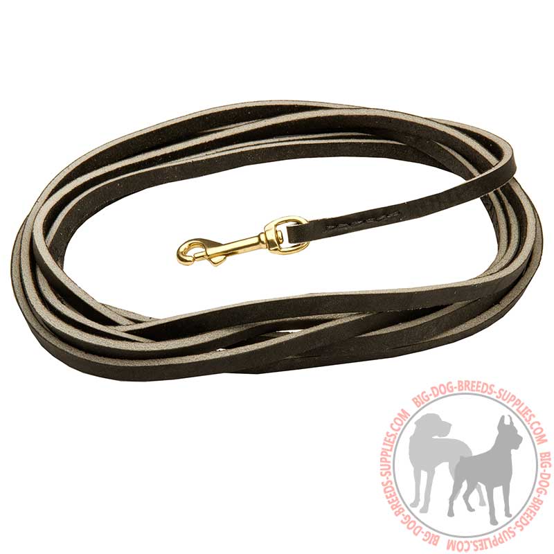 High quality Leather Dog Leash for Tracking Sessions