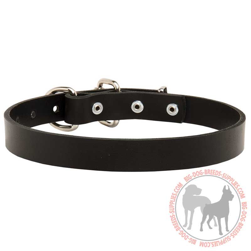 Walking Smooth Leather Dog Collar for Every Day