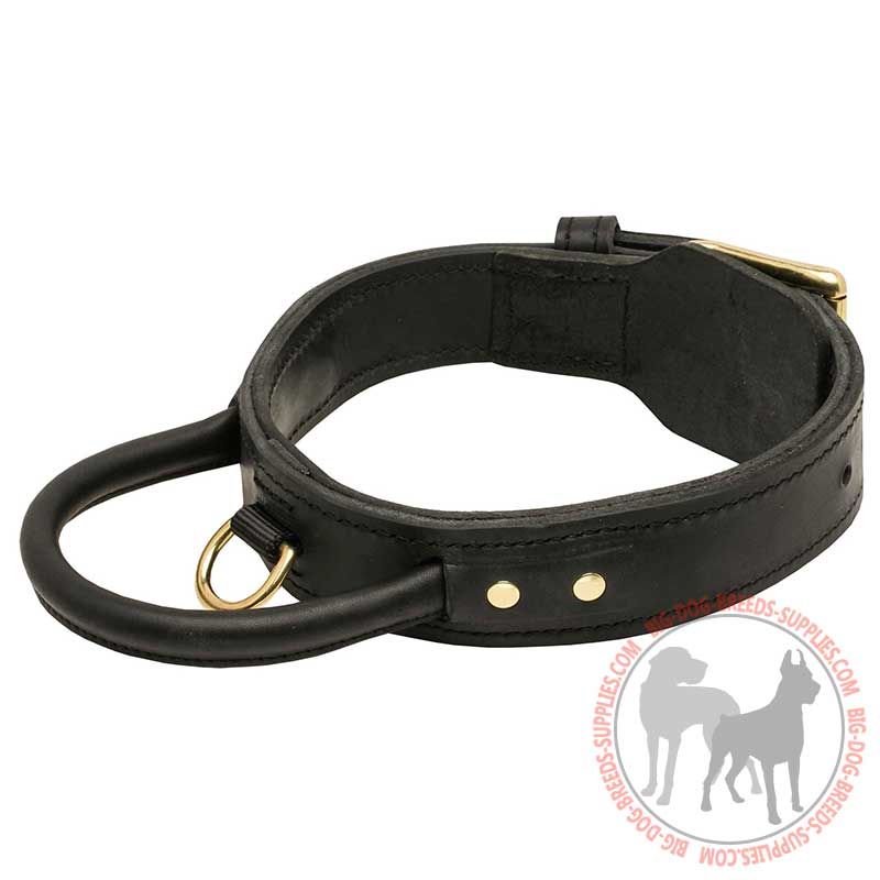 Best collar for big strong best sale dogs