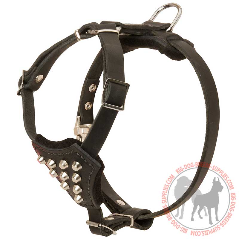 Leather Studded Dog Harness for Puppy Walking