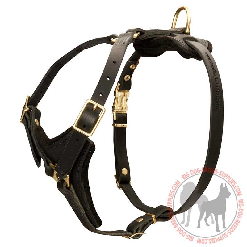 Pitbull Leather Dog Harness for Tracking, Training, Walking