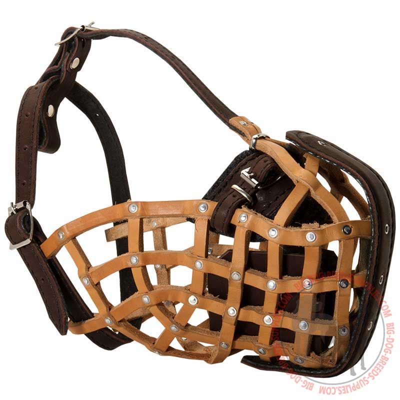 Leather Basket Dog Muzzle for Attack / Agitation Training