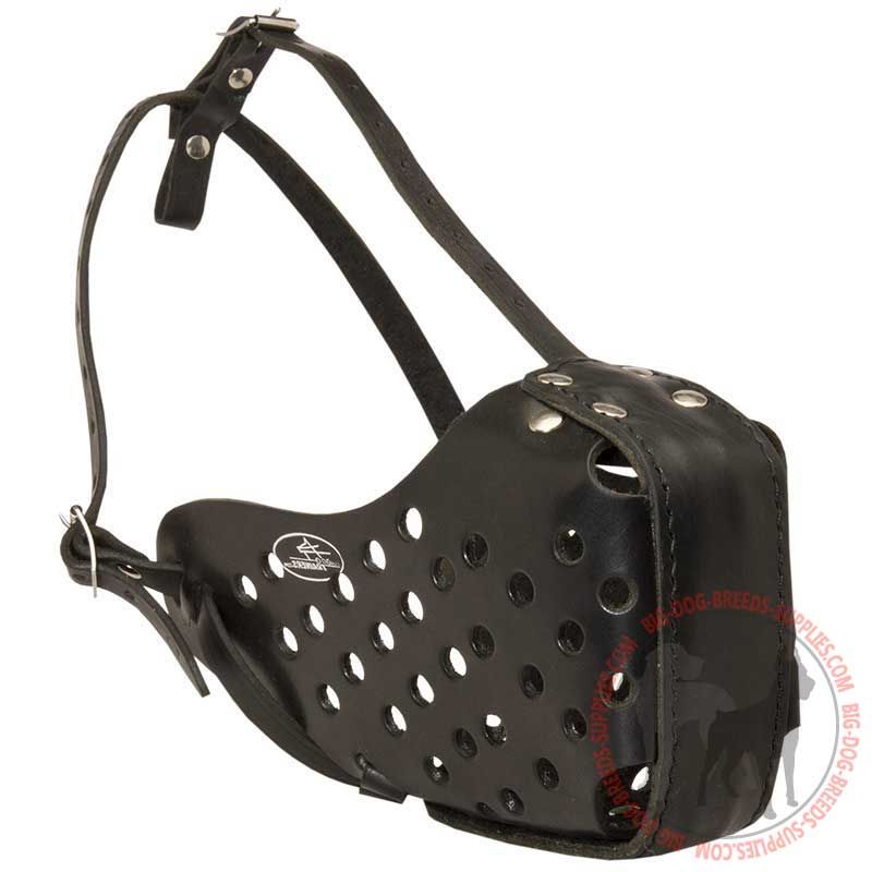 Attack / Agitation Training Leather Dog Muzzle
