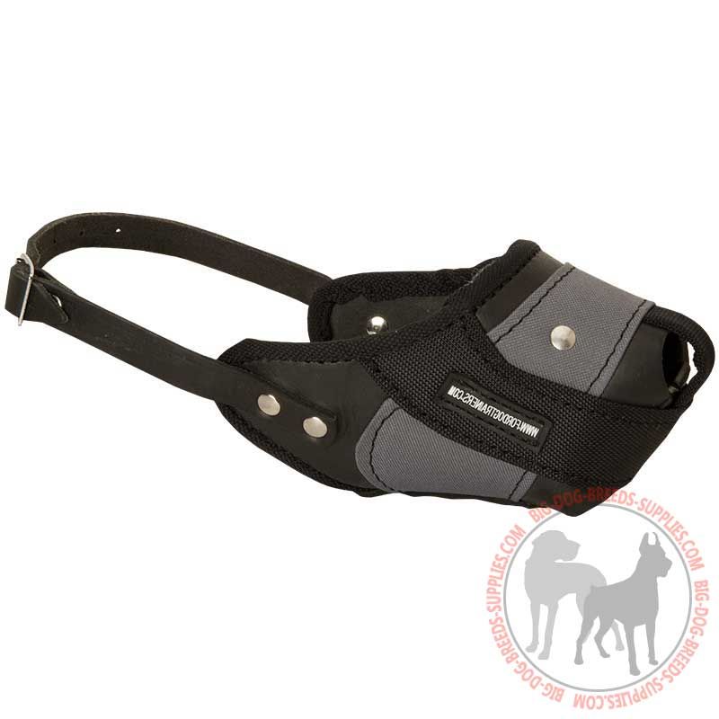 Agitation Training Nylon & Leather Dog Muzzle