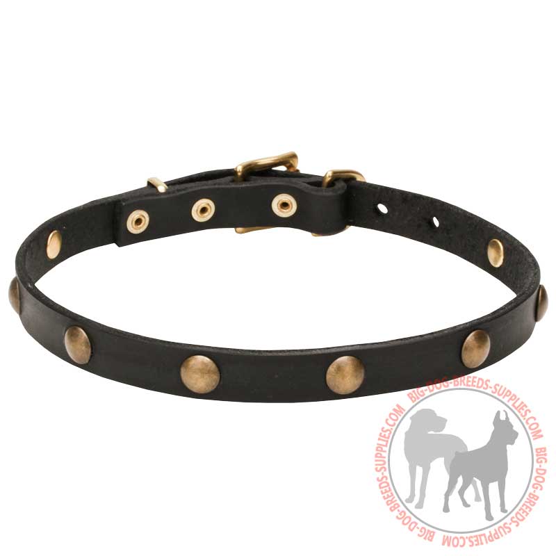 "Elegant Beauty" Leather Dog Collar with Goldish Brass Decorations
