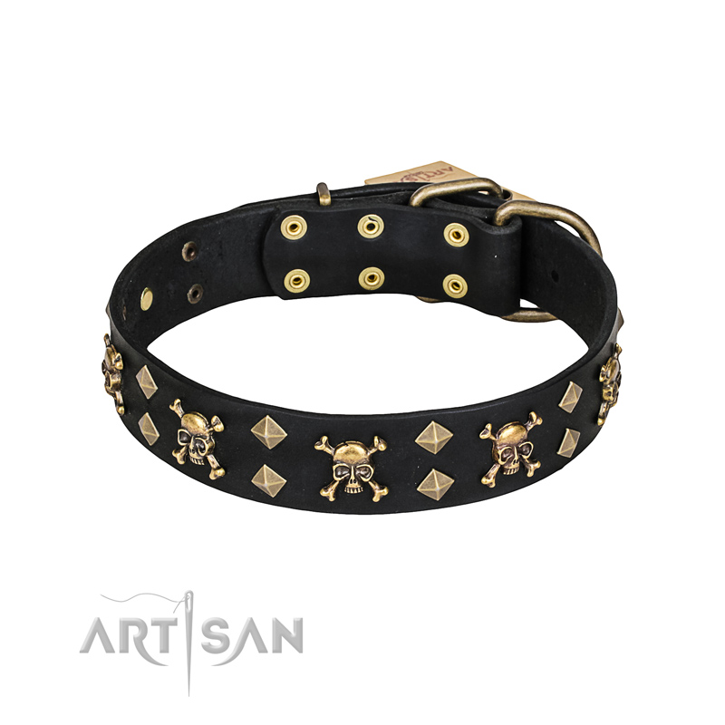 'Jolly Rojer' FDT Artisan Leather Dog Collar with Pirate Skulls and Studs for Walking Big Dog Breeds