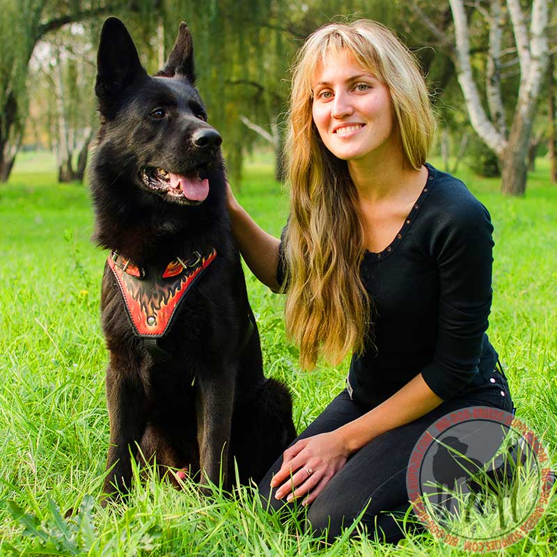 Fire Flames Painted Leather German Shepherd Harness