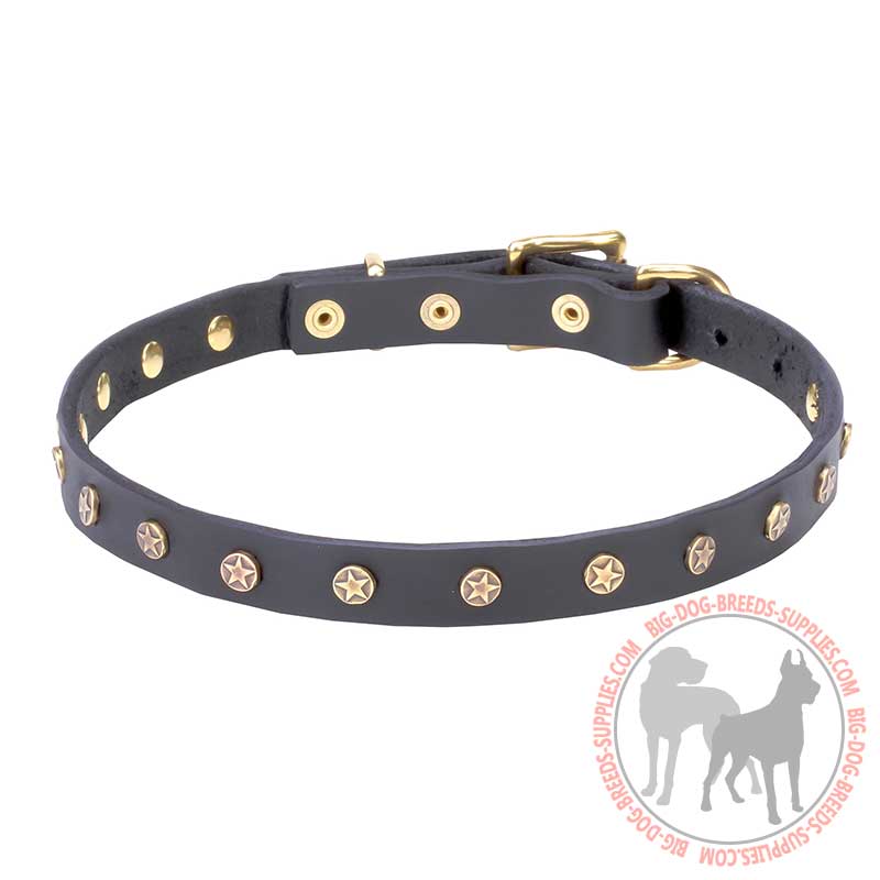 "Stars" Adorned Leather Dog Collar with Brass Studs