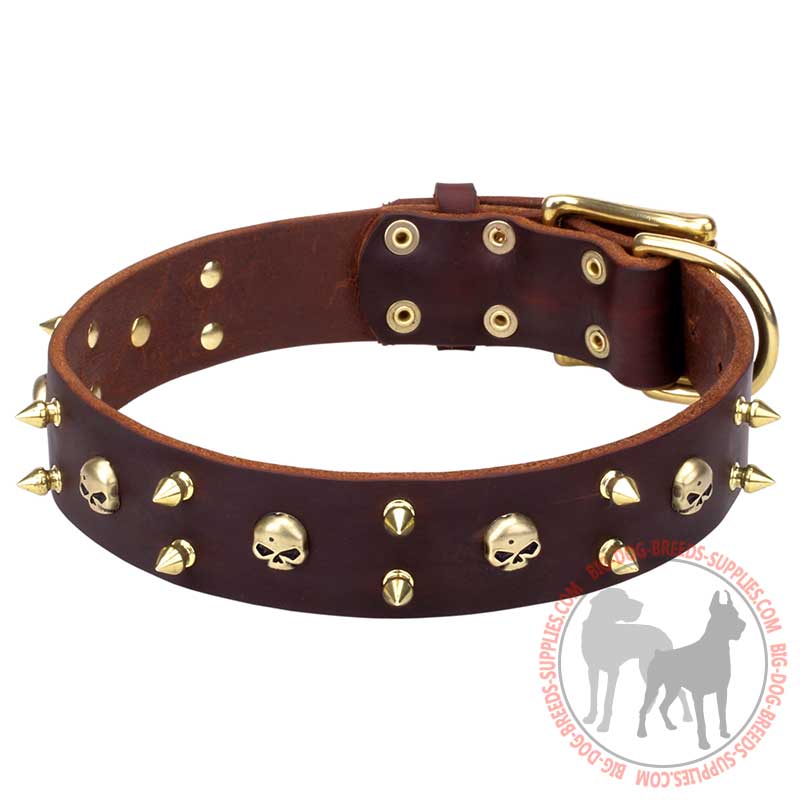 "Hard Rock" Leather Dog Collar with Spikes and Skulls Decor