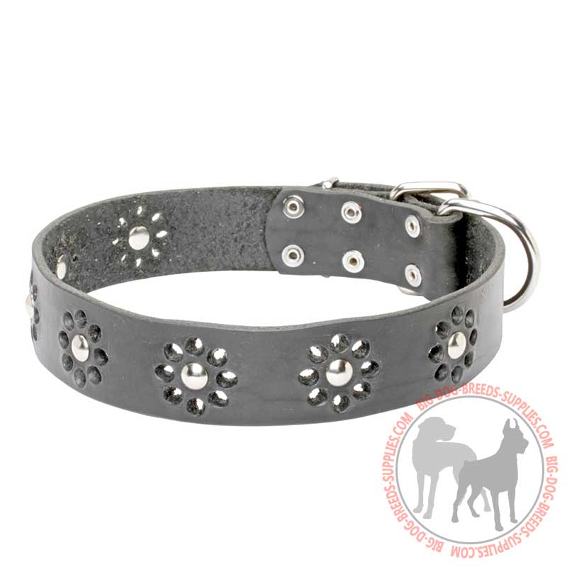 "Flower Blues" Leather Collar for Stylish Dog Walking